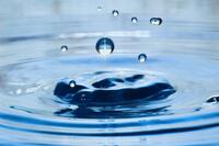 Suspended Water Droplets - 